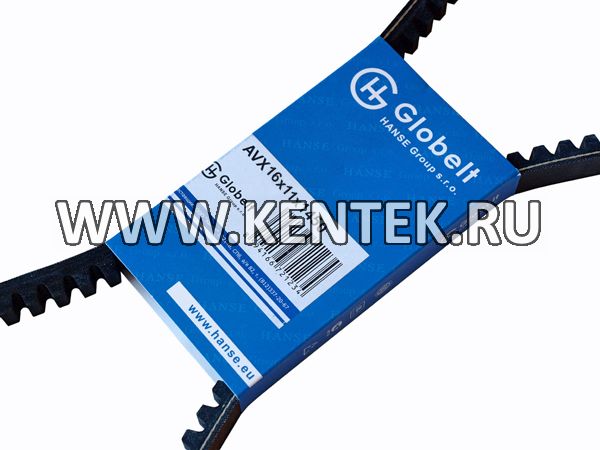 Ремень приводной зубчатый GLOBELT AVX16x11x1450 GLOBELT  - фото, характеристики, описание.
