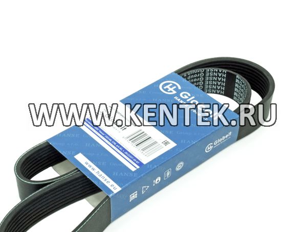 Ремень приводной поликлиновой усиленный GLOBELT 8PK1160 GLOBELT  - фото, характеристики, описание.