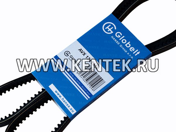 Ремень приводной зубчатый GLOBELT AVX13x1450 GLOBELT  - фото, характеристики, описание.