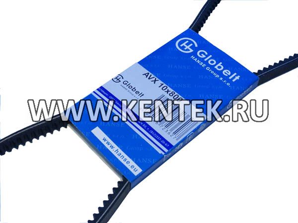 Ремень приводной зубчатый GLOBELT AVX10x800 GLOBELT  - фото, характеристики, описание.