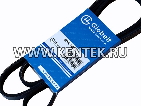 Ремень приводной поликлиновой GLOBELT 5PK1885 GLOBELT  - фото, характеристики, описание.