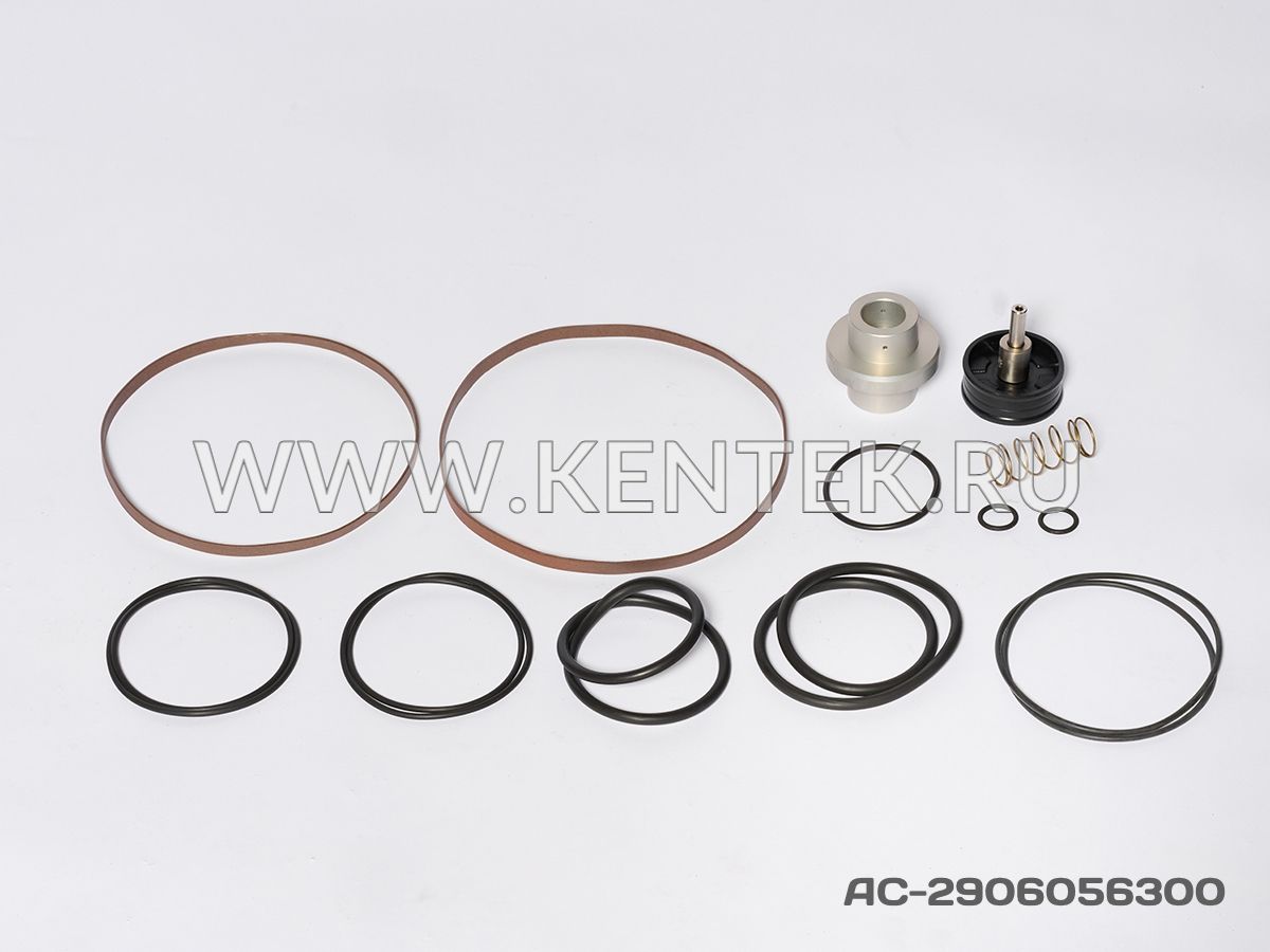 Ремкомплект KENTEK AC-2906056300 KENTEK  - фото, характеристики, описание.