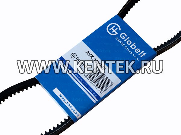 Ремень приводной зубчатый GLOBELT AVX13x750 GLOBELT  - фото, характеристики, описание.
