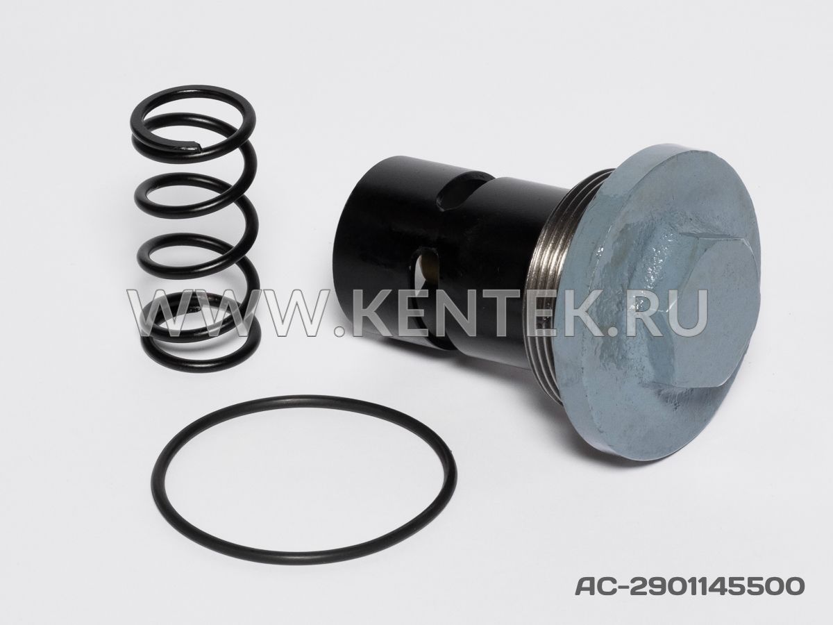 Ремкомплект термостата KENTEK AC-2901145500 KENTEK  - фото, характеристики, описание.