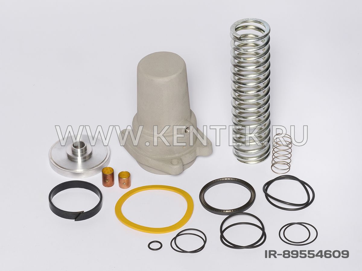 Ремкомплект впускного клапана 22335728 E25 KENTEK IR-89554609 KENTEK  - фото, характеристики, описание.