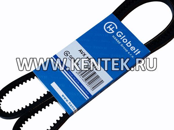 Ремень приводной зубчатый GLOBELT AVX10x1310 GLOBELT  - фото, характеристики, описание.