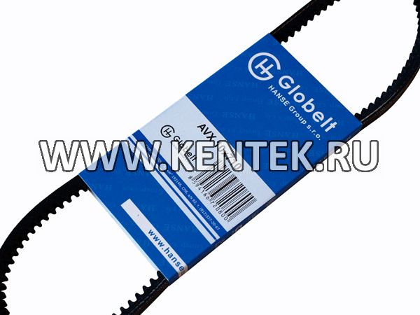 Ремень приводной зубчатый GLOBELT AVX10x710 GLOBELT  - фото, характеристики, описание.