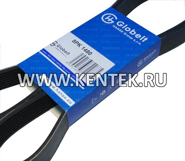 Ремень приводной поликлиновой усиленный GLOBELT 8PK1480 GLOBELT  - фото, характеристики, описание.