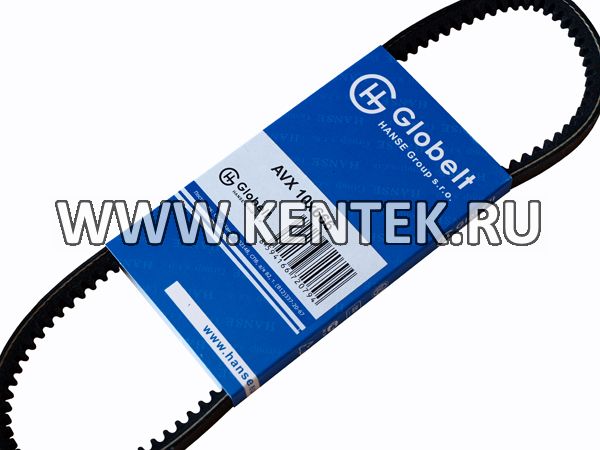 Ремень приводной зубчатый GLOBELT AVX10x666 GLOBELT  - фото, характеристики, описание.