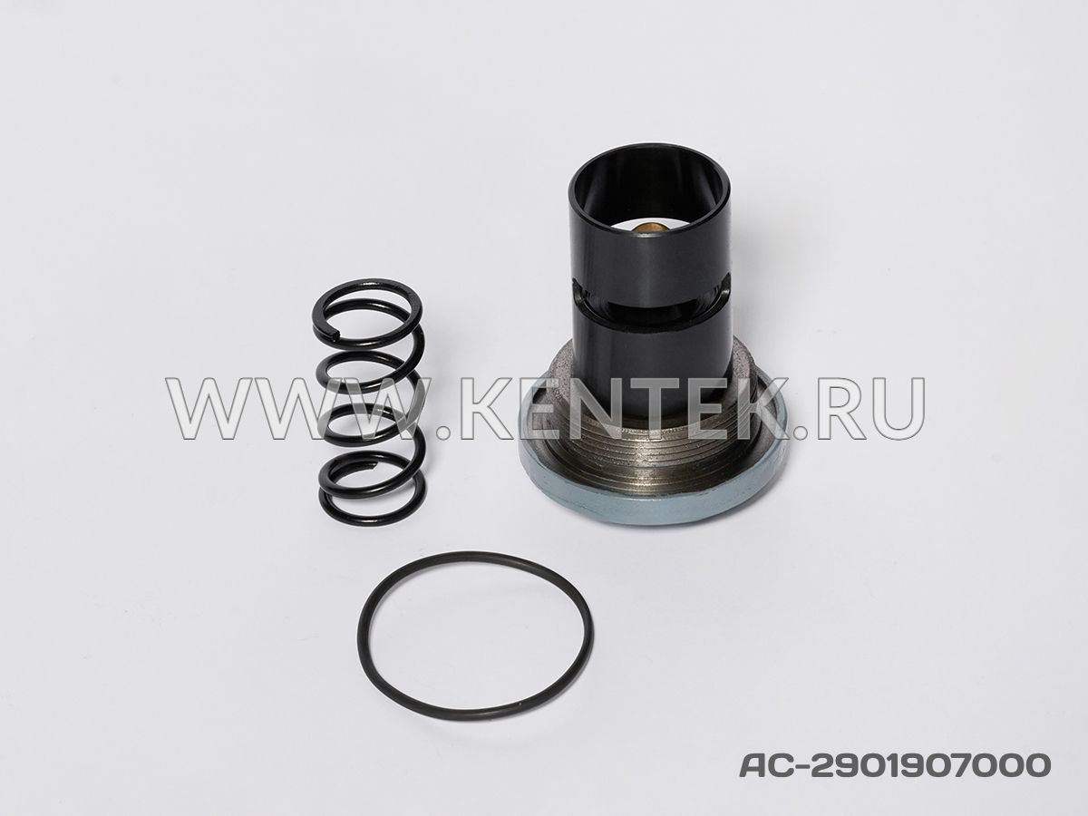 Ремкомплект термостата KENTEK AC-2901907000 KENTEK  - фото, характеристики, описание.