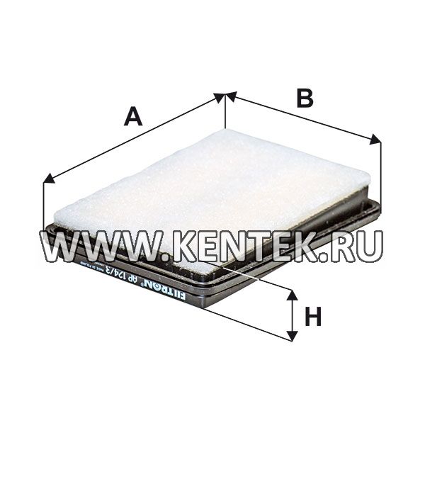 панельный воздушный фильтр FILTRON AP124/3 FILTRON  - фото, характеристики, описание.