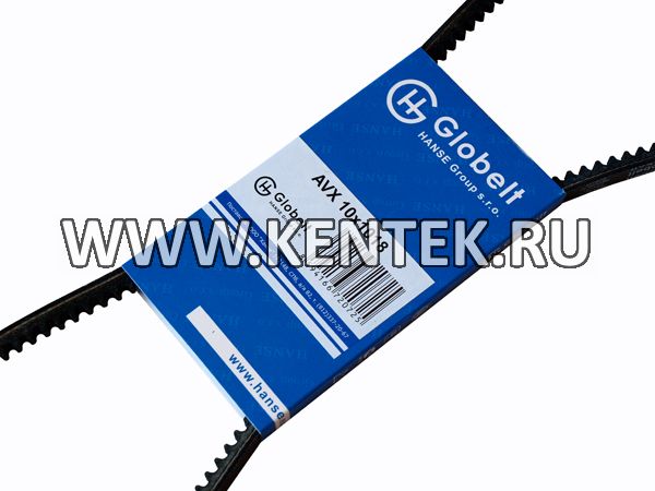 Ремень приводной зубчатый (2410, 31029 - дв 402) GLOBELT AVX10x1018 GLOBELT  - фото, характеристики, описание.