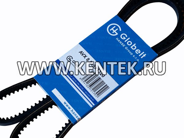 Ремень приводной зубчатый GLOBELT AVX8,5x8x1320 GLOBELT  - фото, характеристики, описание.