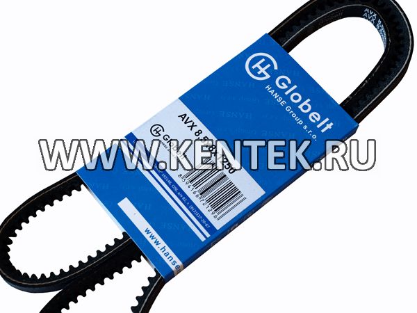 Ремень приводной зубчатый GLOBELT AVX8,5x8x1250 GLOBELT  - фото, характеристики, описание.