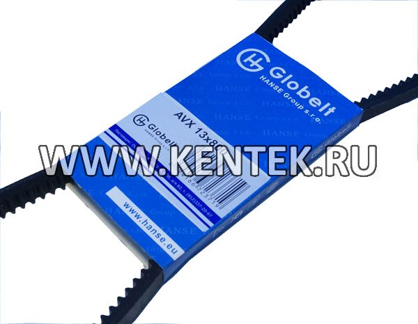 Ремень приводной зубчатый GLOBELT AVX13x800 GLOBELT  - фото, характеристики, описание.
