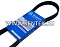 Ремень приводной поликлиновой GLOBELT 6PK823