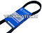Ремень приводной поликлиновой GLOBELT 6PK783