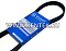 Ремень приводной поликлиновой GLOBELT 6PK860