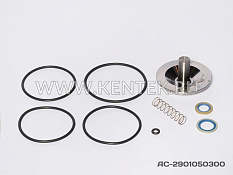 Ремкомплект обратного клапана KENTEK AC-2901050300 KENTEK  - фото, характеристики, описание.