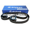 Ремкомплект ГРМ. 2110-12 (16V) (ремень+2 рол) GLOBELT HZ010 KIT