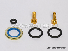 Ремкомплект обратного клапана KENTEK AC-2901107700 KENTEK  - фото, характеристики, описание.