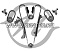 Ремкомплект цепи ГРМ (ДВС: 4.0L  1GRFE), 4RUNNER, LAND CRUISER - 16г, LC PRADO -09г. HANSE HC 820 030 KIT