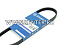 Ремень приводной поликлиновой, усиленный GLOBELT 4PK815 EPDM